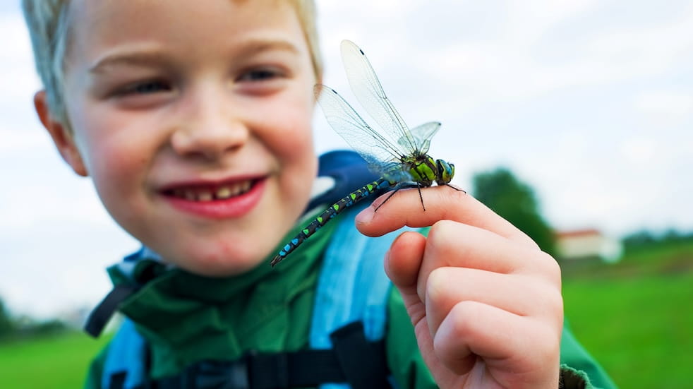 Close up of a little boy smiling at a dragonfly that has landed on his finger